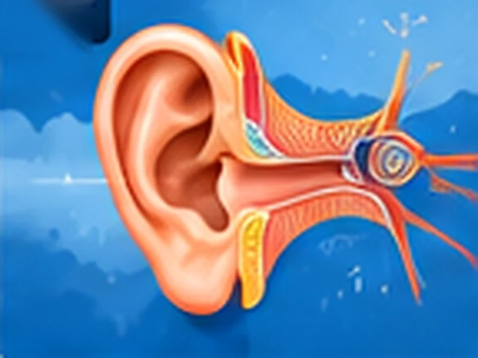 Illustration for Indian Sign Language for Students: Why Learn ISL? 